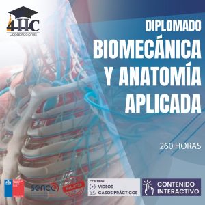 Diplomado biomecánica y anatomía aplicada 260 hrs